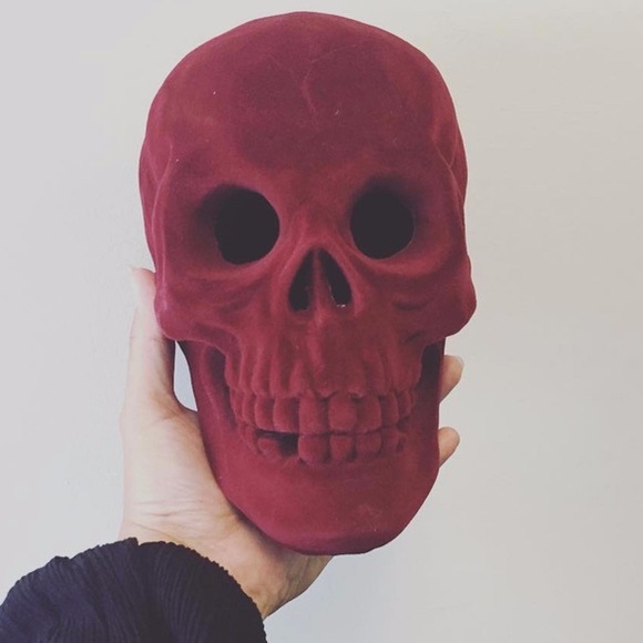 Family Gatherings Other - NWT Family Gatherings Velvet Skull